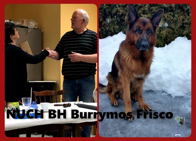 Hovedstyrets ærespris for NSchK avd. Oslo's beste utstillingshund i 2018 !