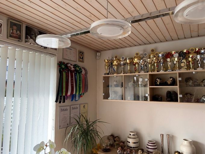 pokaler/champigonater