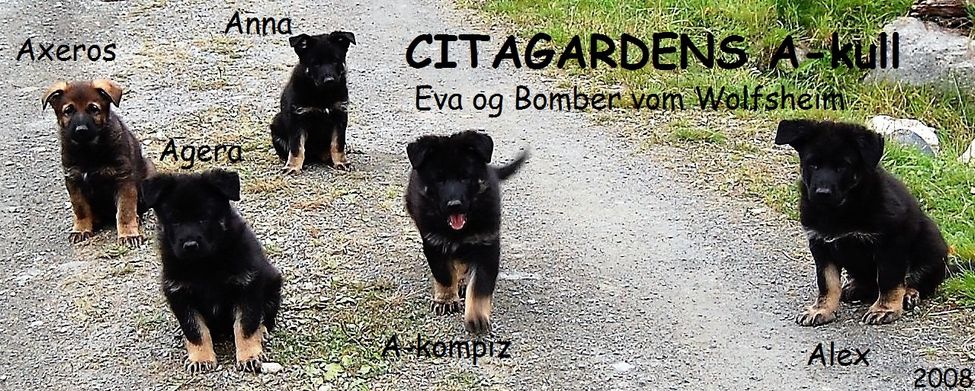 Citagarden