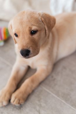 Esther