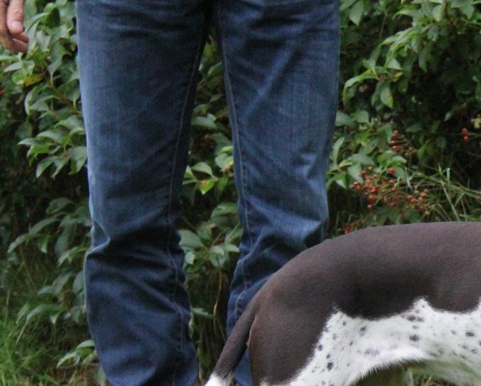 Logslund Flicka aka SIF  f/born: 2014 - Foto fra/from oktober 2015