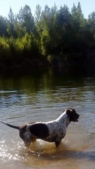 Wiktor in Sweden