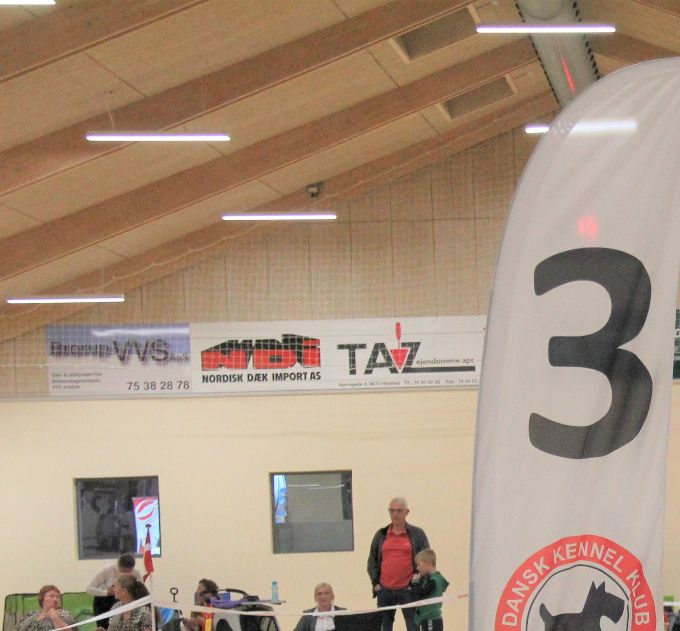 Wiktor BIG 3 - Nordic in Brørup