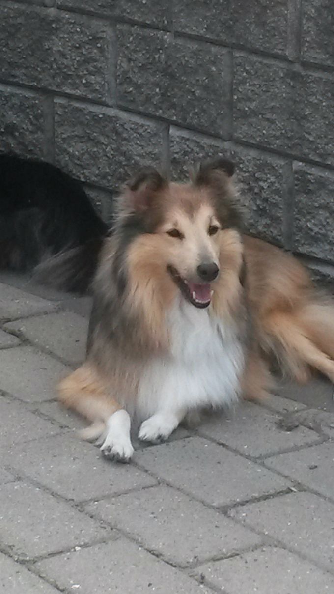 Jenner Tica Dawn  (Tica)