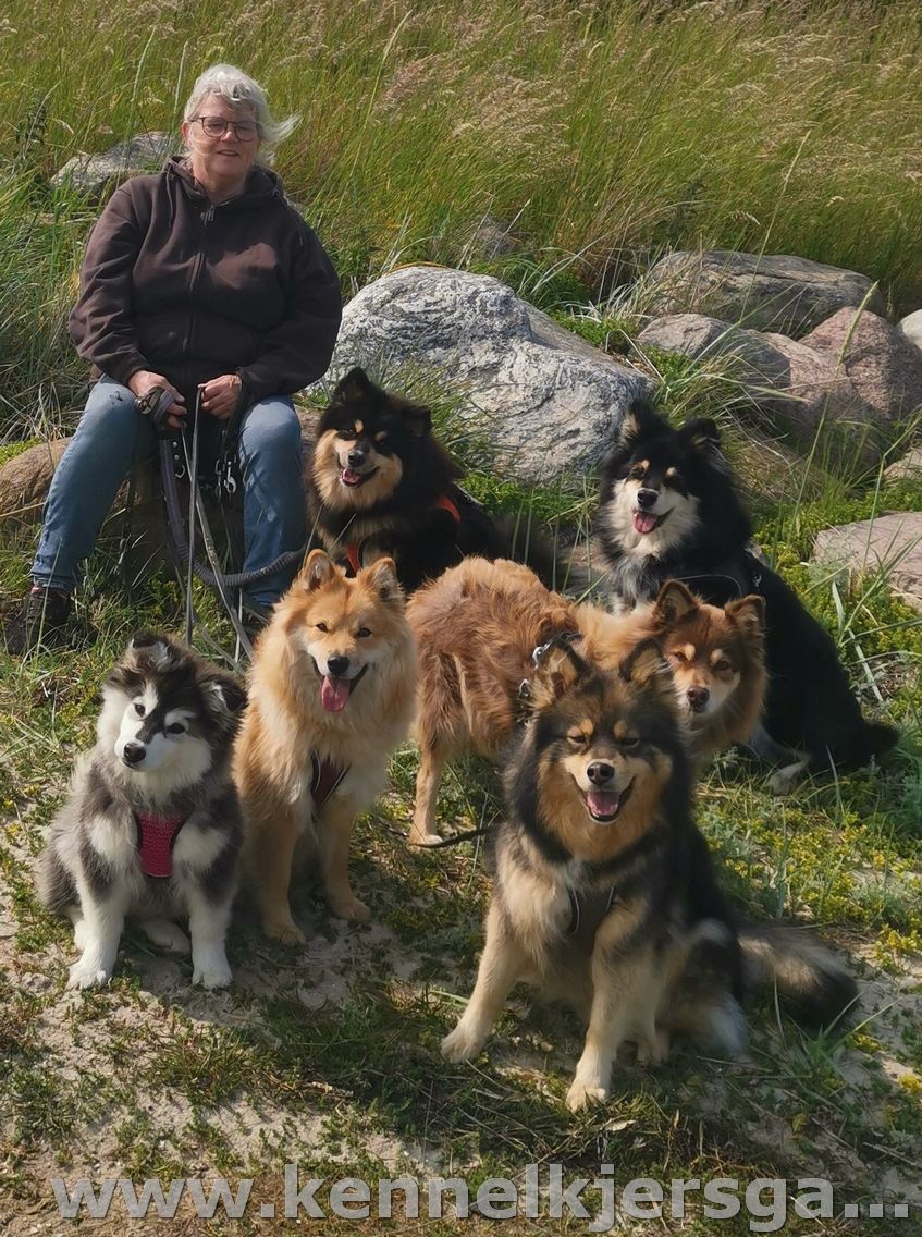 IMG_20250609_162410_2