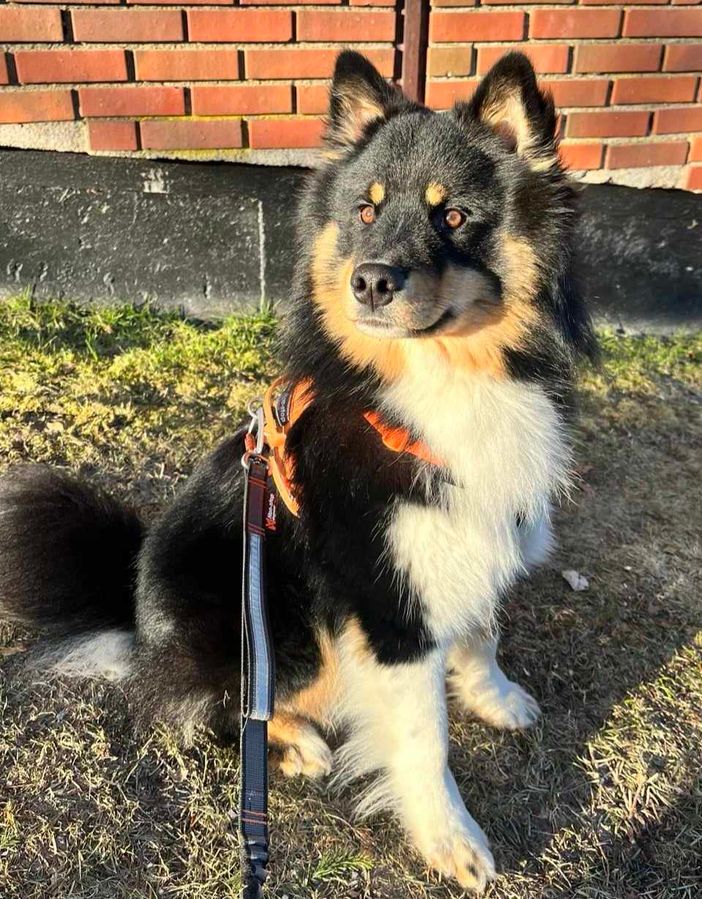 MyEiko`s Lloyd