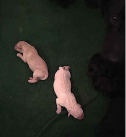 1/4-16
