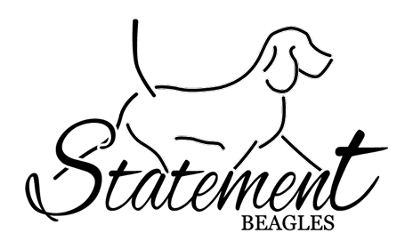 Kennel Statement