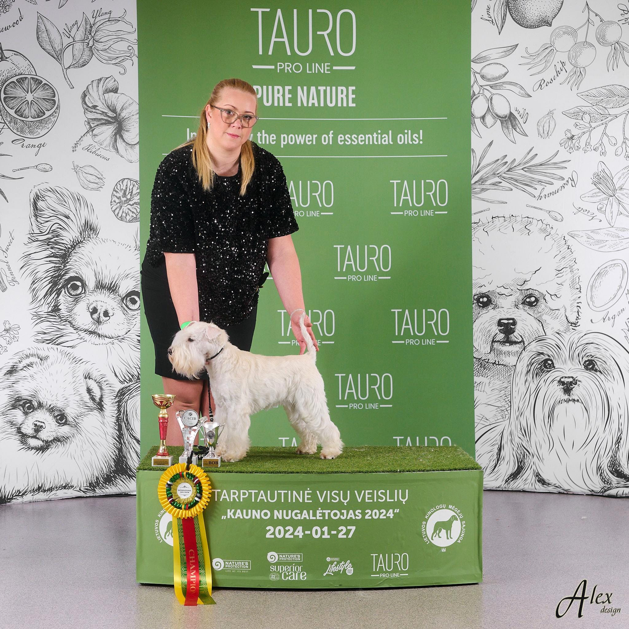 Dvärgschnauzer