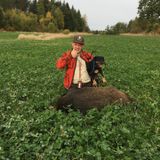 Årets första drevjakt