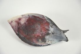POD / SCHOTE 5(A)