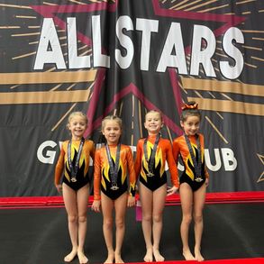 Kestrel Gymnastics — Gymnastics in Chepstow, Chepstow