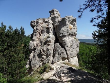 Sas szikla