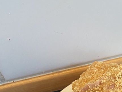 Klar til stegning i rigeligt med smør.
