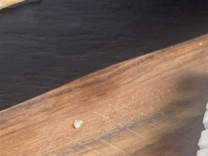 her de monteret på et grillspyd.