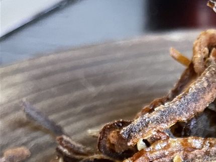 Super lækker og sprøde glutenfri ristede løg.