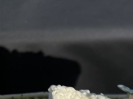 Så lækker og super frisk salat..