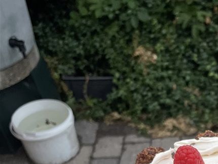 Super lækker cheesecake , med smag af citrus.