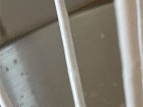 nemmeste måde at lave smør på, bare hæld fløden i en pisker.