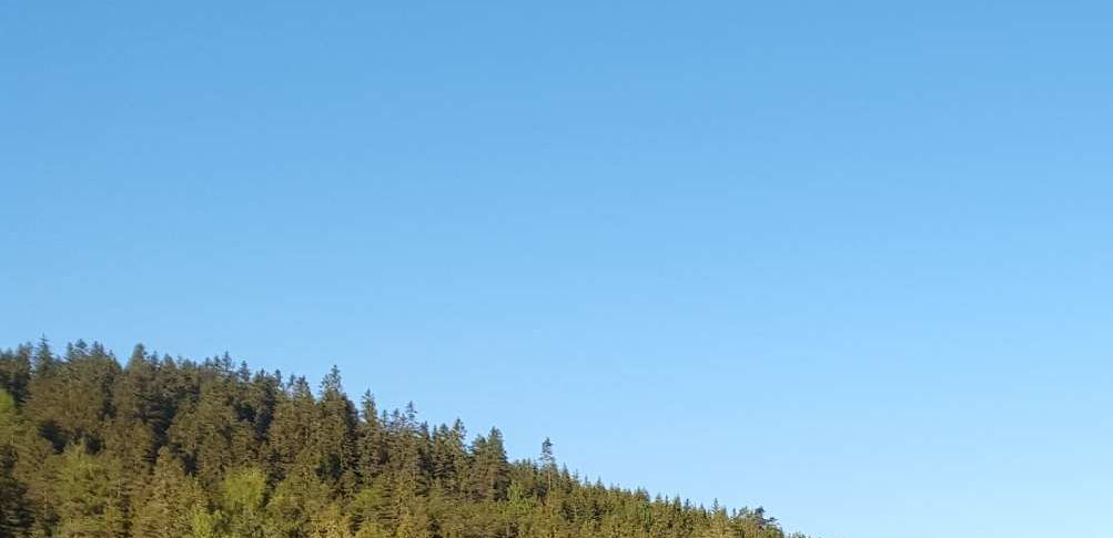 Seuran Kalalampi  