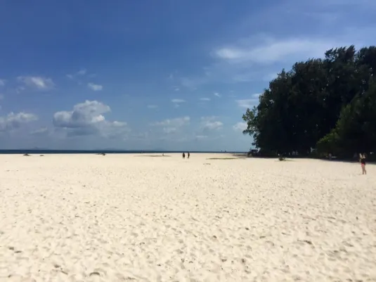 Excursion Koh Phi Phi