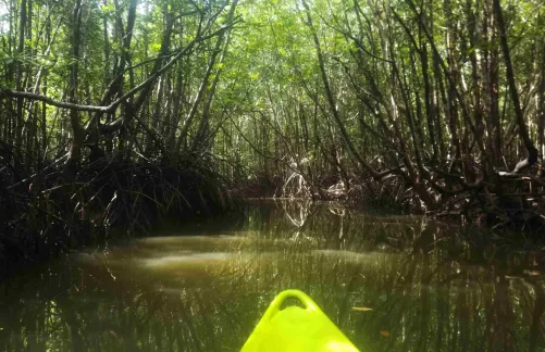 kayak khao lak