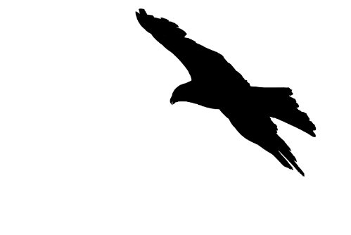 Kiladalens Fågelförening
