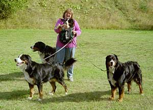 Kim with her dogs