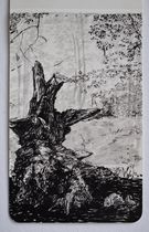 sketchbook