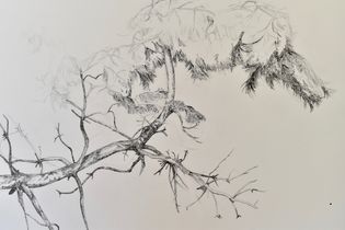 "Still standing" 2 detail 1