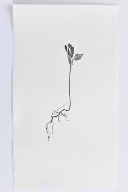 TOGHETER-APART 50.9560941, 3.6859892-001