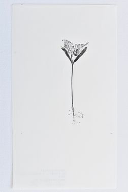 TOGHETER-APART 50.9560941, 3.6859892-021