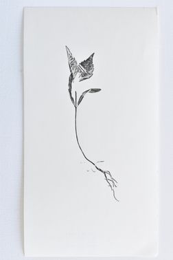 TOGHETER-APART 50.9560941, 3.6859892-043