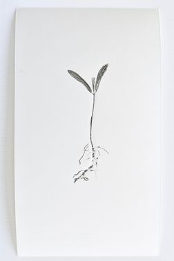 TOGHETER-APART 50.9560941, 3.6859892-047