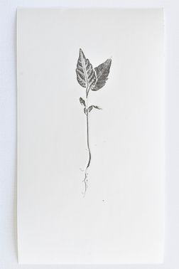 TOGHETER-APART 50.9560941, 3.6859892-048