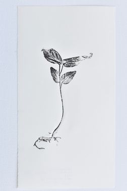 TOGHETER-APART 50.9560941, 3.6859892-114