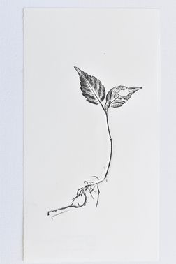TOGHETER-APART 50.9560941, 3.6859892-116