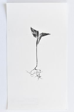 TOGHETER-APART 50.9560941, 3.6859892-148