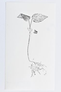 TOGHETER-APART 50.9560941, 3.6859892-176