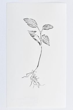 TOGHETER-APART 50.9560941, 3.6859892-185