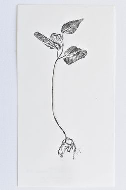 TOGHETER-APART 50.9560941, 3.6859892-210