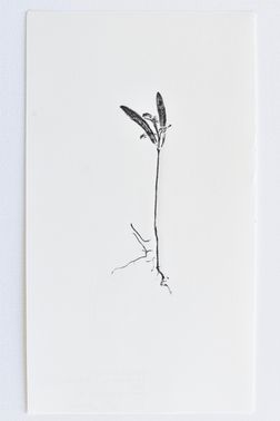 TOGHETER-APART 50.9560941, 3.6859892-248