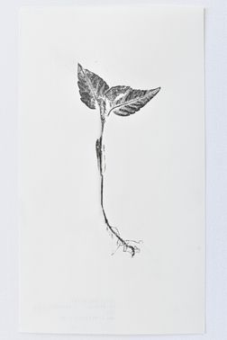 TOGHETER-APART 50.9560941, 3.6859892-340