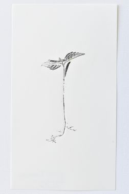 TOGHETER-APART 50.9560941, 3.6859892-352