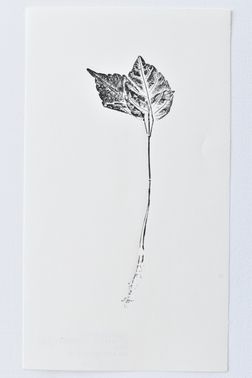 TOGHETER-APART 50.9560941, 3.6859892-480