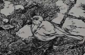 sketchbook 6