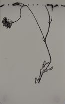 sketchbook 47