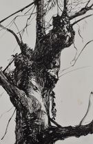 sketchbook 50