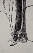 sketchbook 55