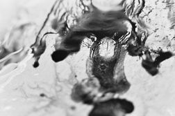 Melting 001, photo on dibont 